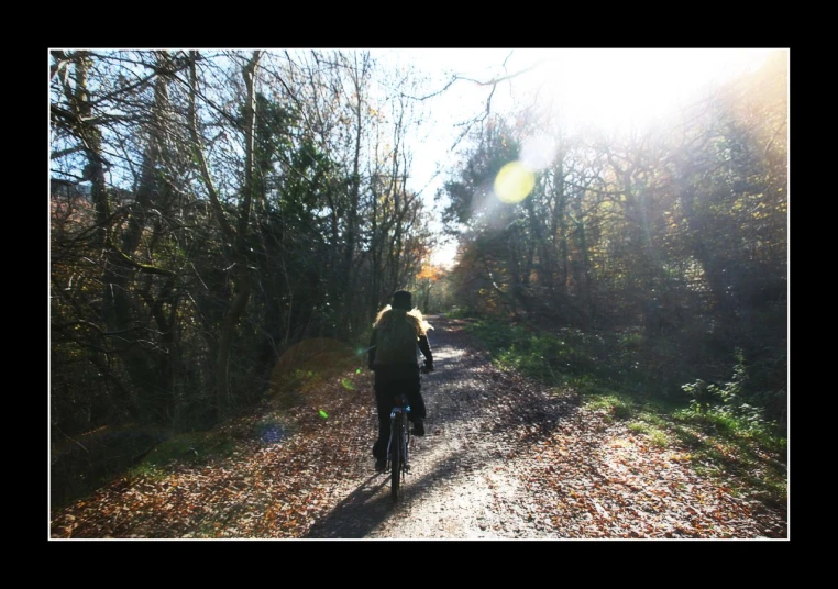 a bicyclist is traveling on a trail through the woods