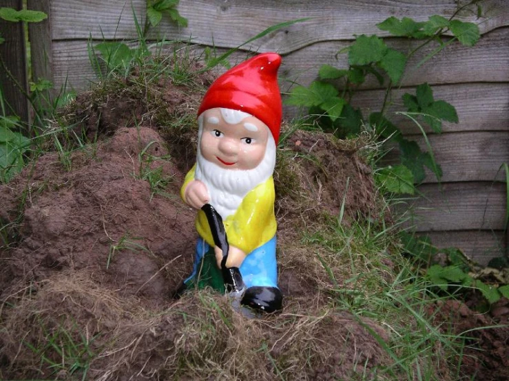 the garden gnome is growing plants in the yard