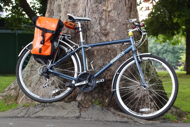 a bicycle that is leaning against a tree