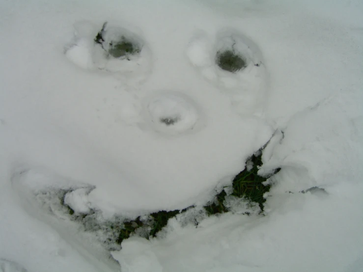 the snow covered ground is very white with some odd shapes