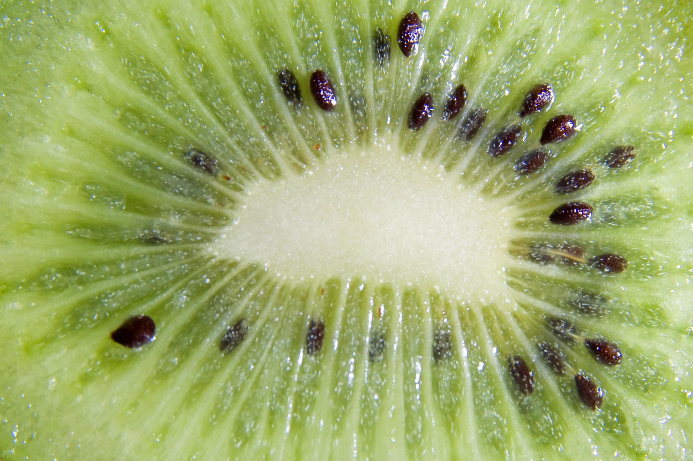 there is an up close view of kiwi fruit