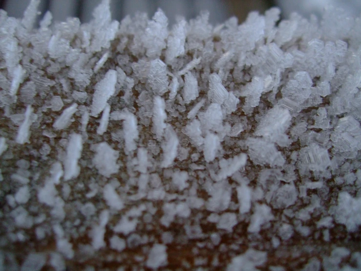 snow is mixed with white powder on the surface