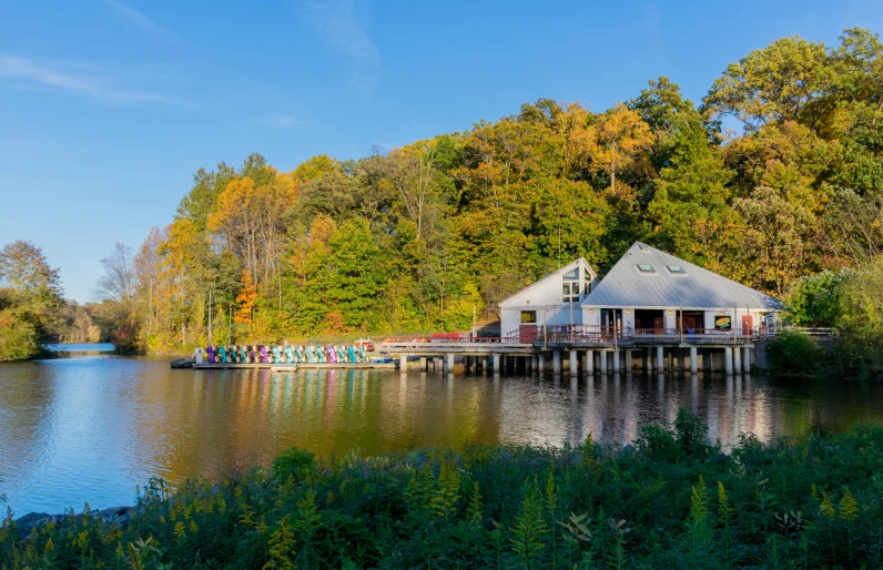 a dock with house sitting on it surrounded by a forest