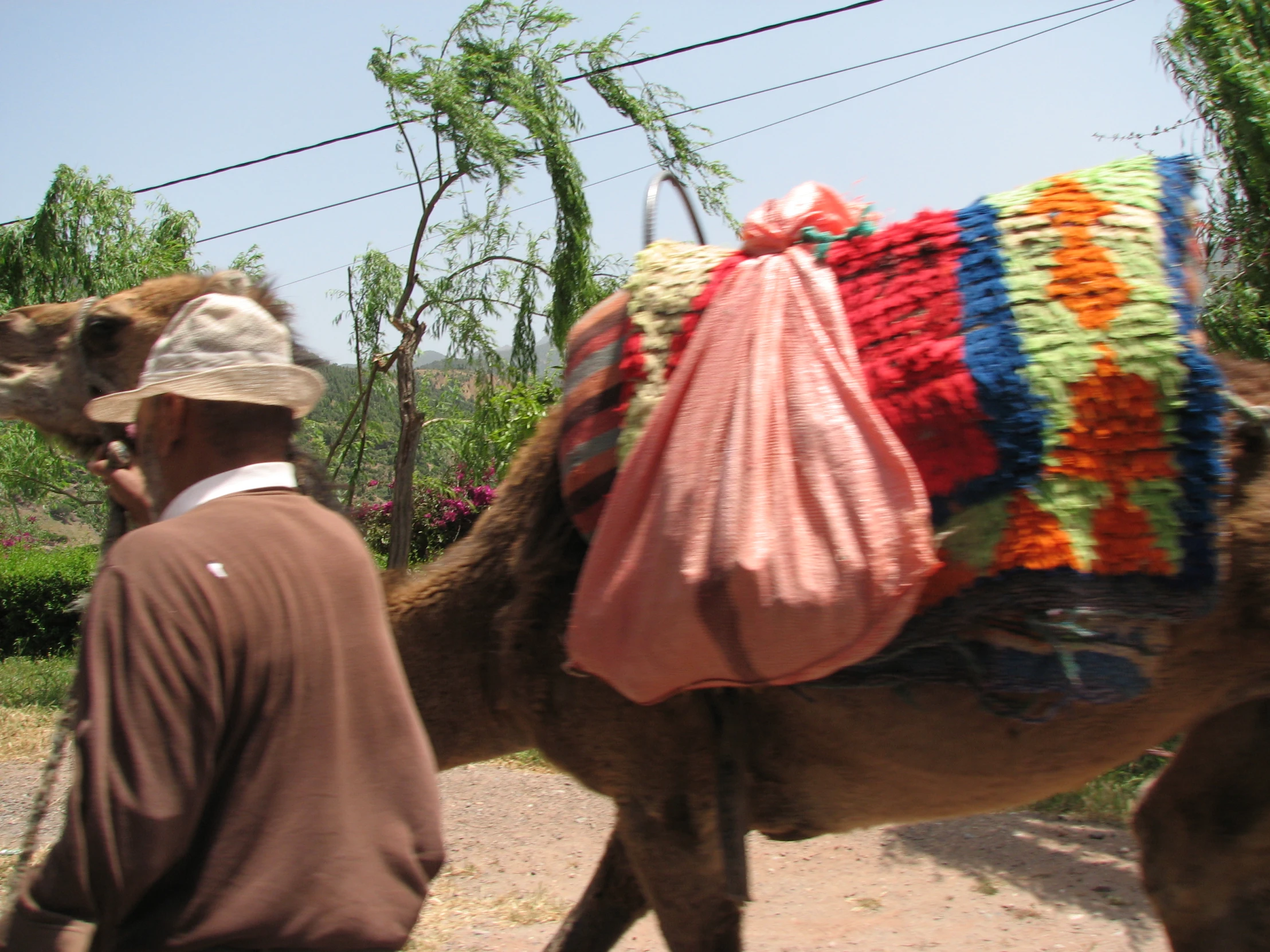 a man walking a camel with a large bag on his back