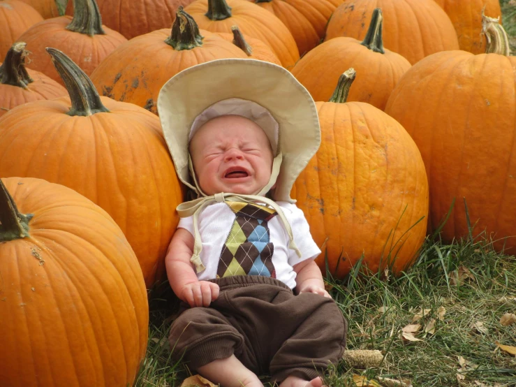 a baby is sitting down in the middle of a group of pumpkins