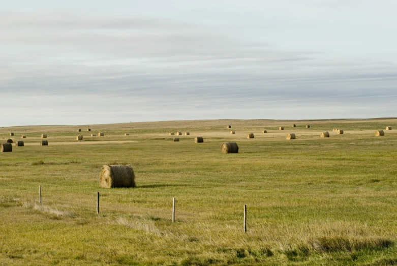 a green grass field with bales on the side