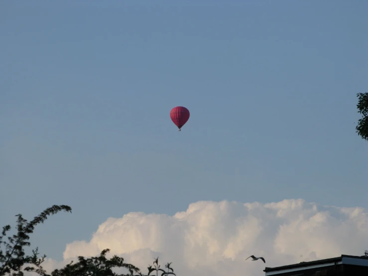 a  air balloon flying in the sky