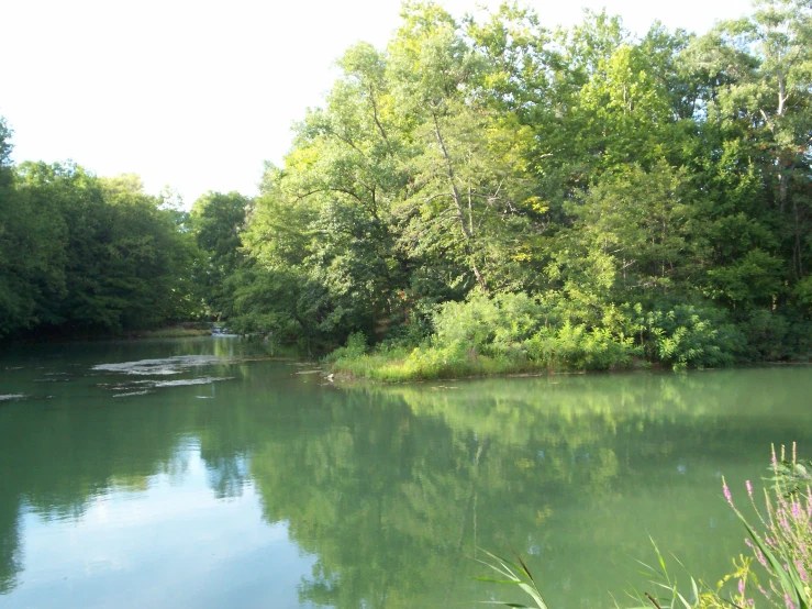 a lake surrounded by trees with reflections in it