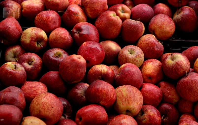 an assortment of apples is stacked up