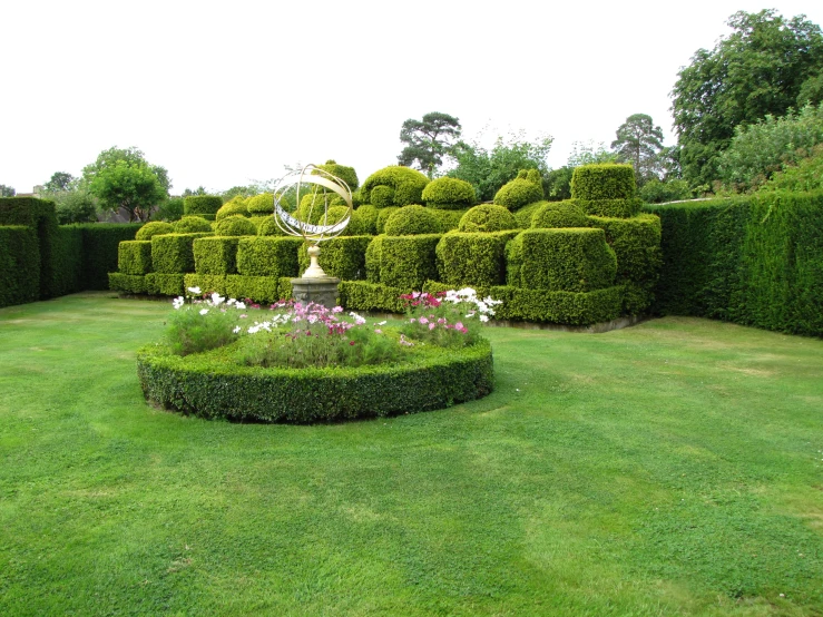 an artistic garden with lots of lawn and bushes