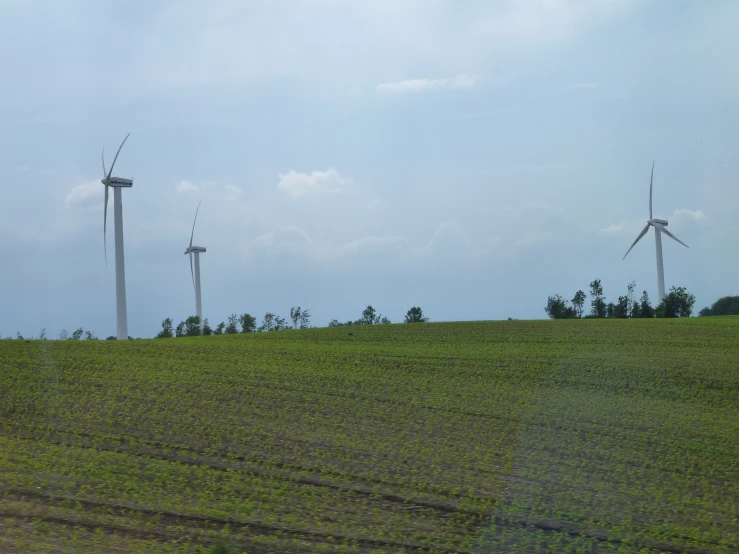 wind turbines in a field next to each other