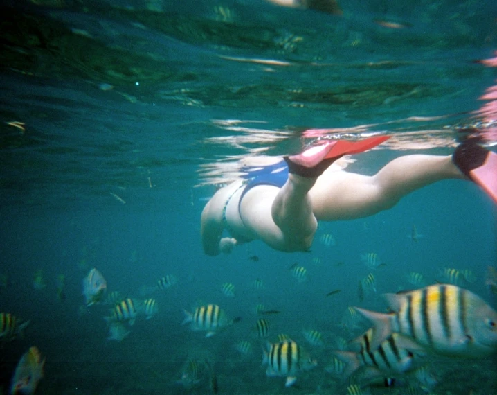 a girl is diving underwater surrounded by fish