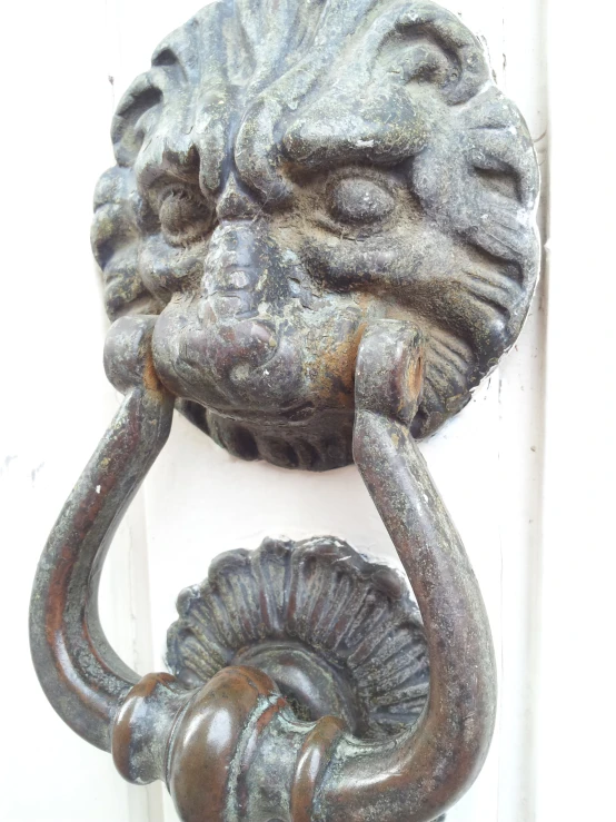 a door handle with a lion face on it