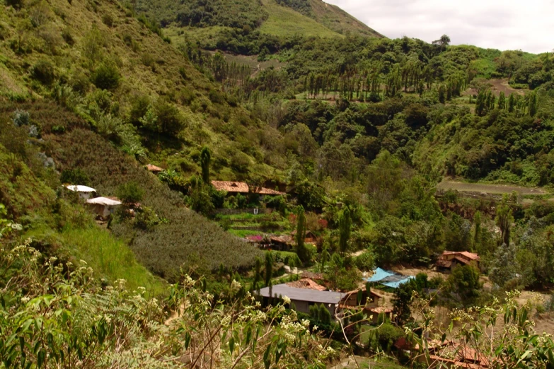 a group of cabins nestled on the side of a lush green hillside