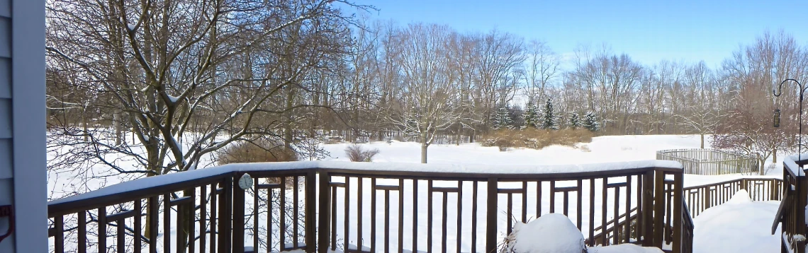 the balcony is covered with snow and trees