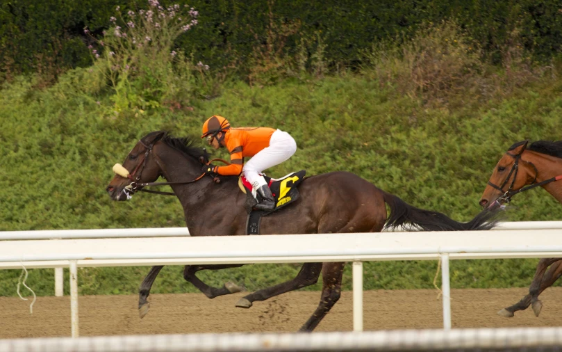 two horses and jockeys race around the track