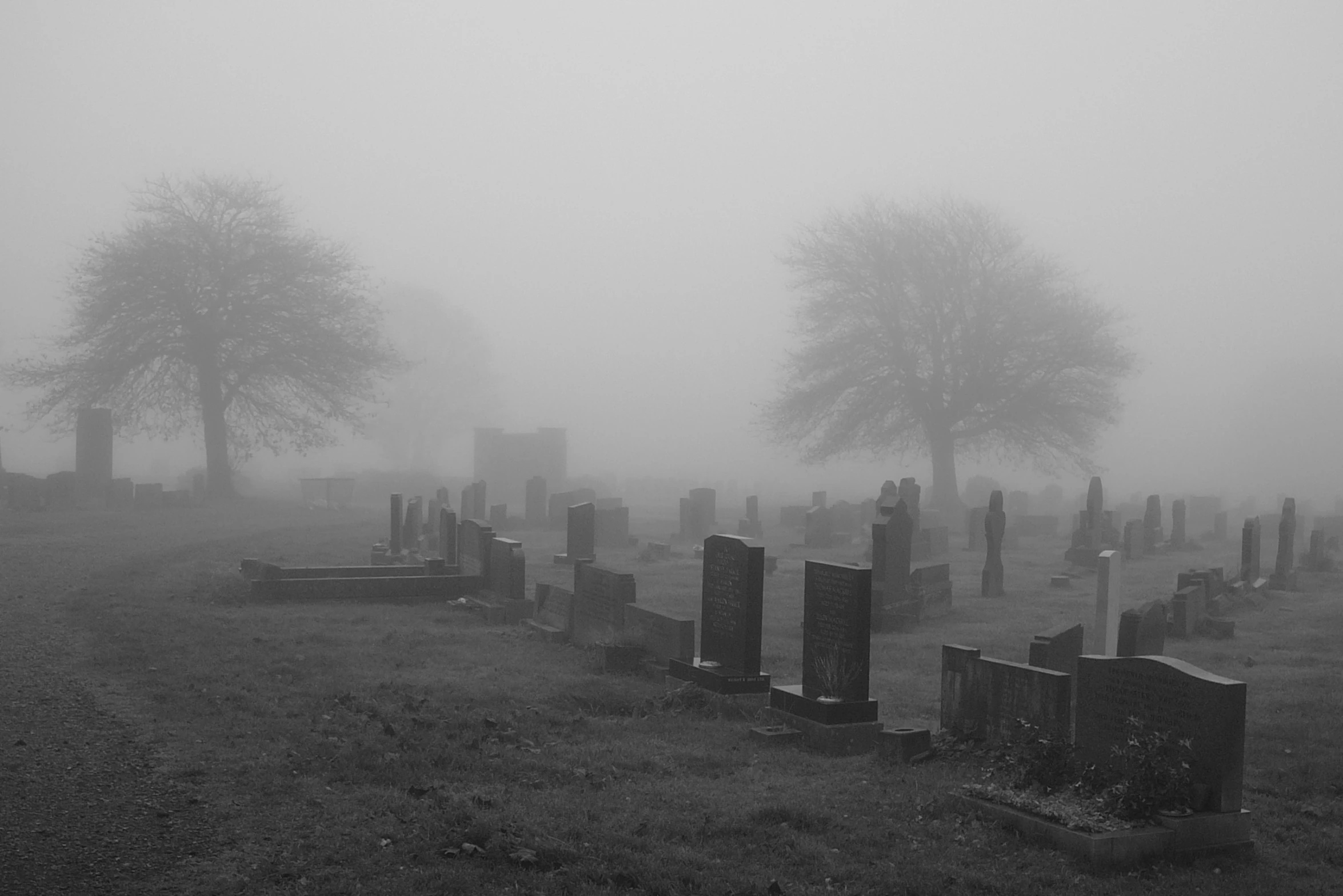 cemetery on a misty day in black and white