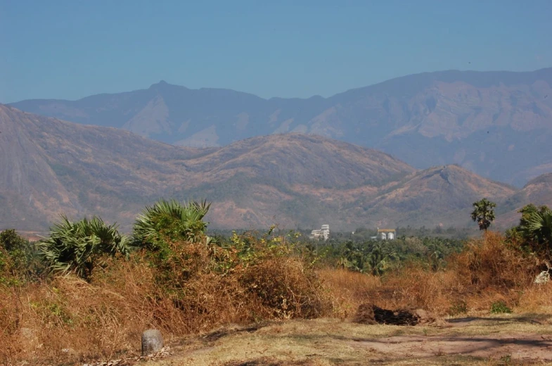 a view of a mountain range with trees and bushes