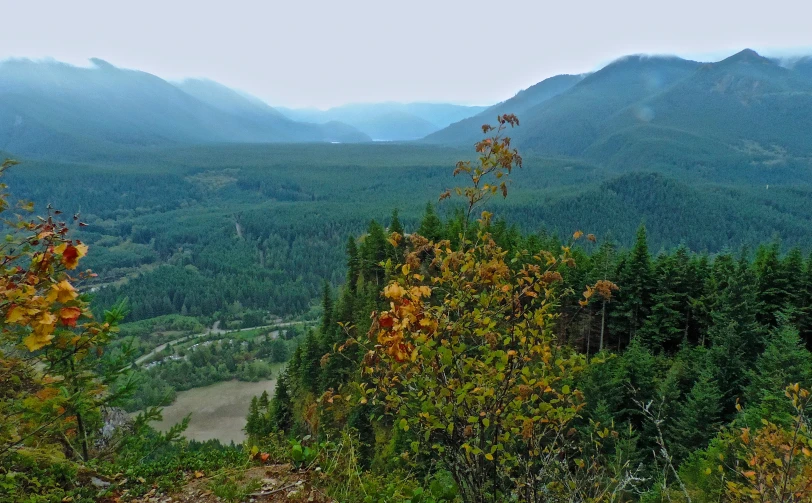 mountains near a river with trees and mist