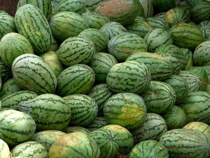 a bunch of watermelon on display for sale