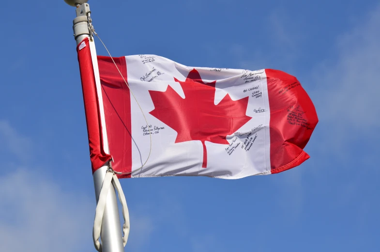 an image of a flag on a pole