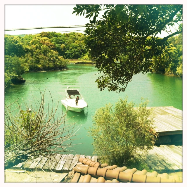 a small white boat docked on top of a green lake