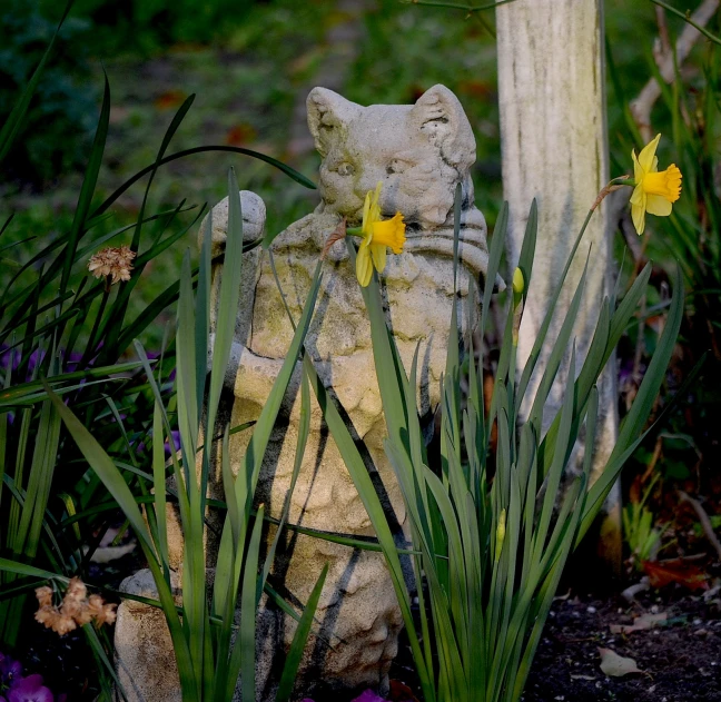 a stone statue of a cat sitting in the middle of some plants