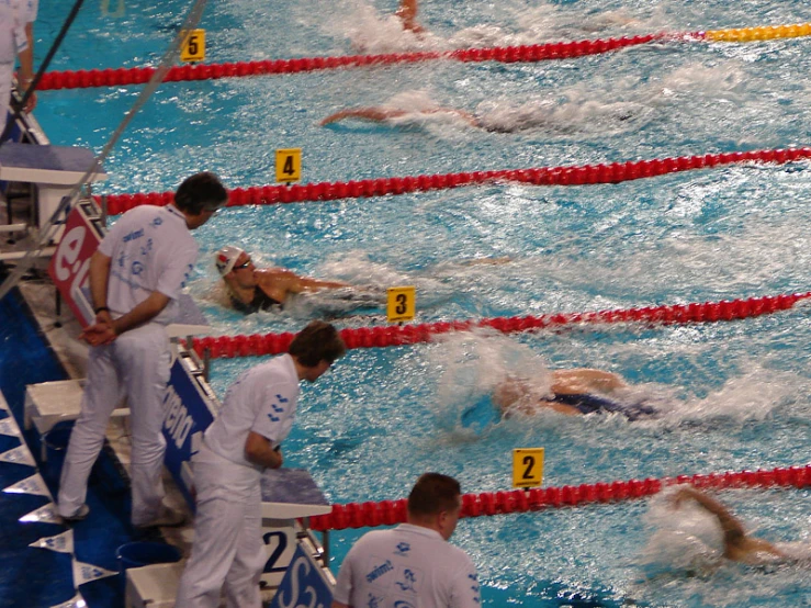 men in a swimming competition with numbers on their shirts