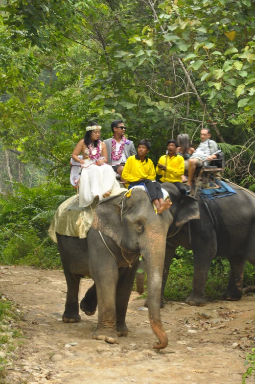 a group of people sitting on top of an elephant