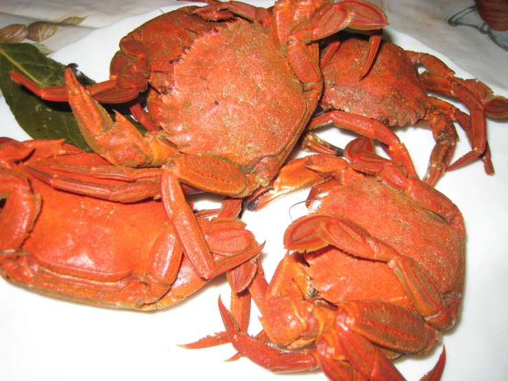 cooked blue crabs, shown from top down, laying on a plate