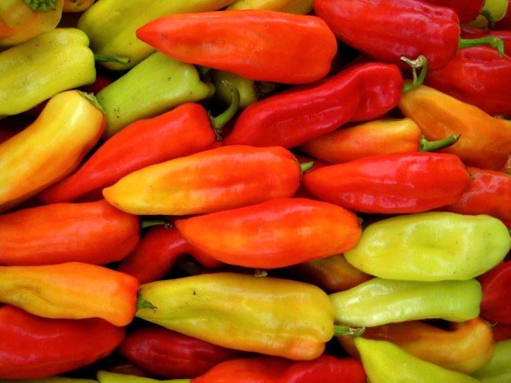 bright colored peppers on a pile in different colors