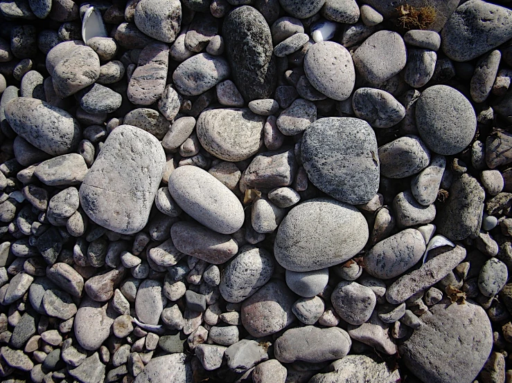 some very pretty rocks with leaves on them