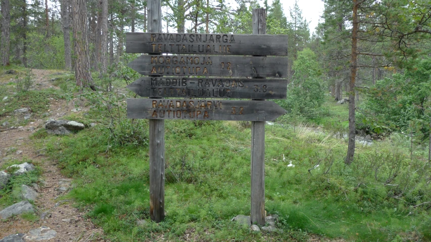 a close up of signs on a pole near some trees