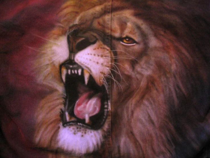 a lion is depicted on the jacket of someones