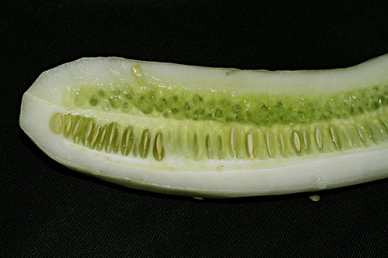a green fruit with lots of white seeds