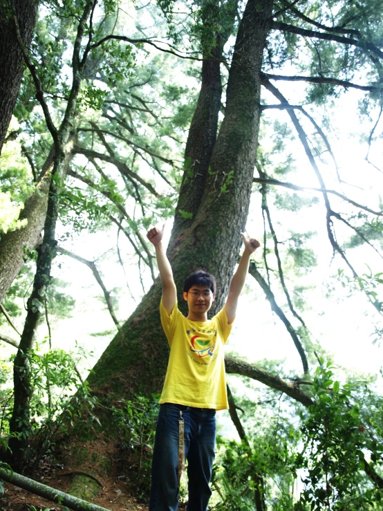 the child in the yellow shirt is reaching up into the tree