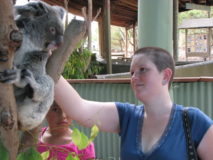 the woman is holding a koala up to the camera