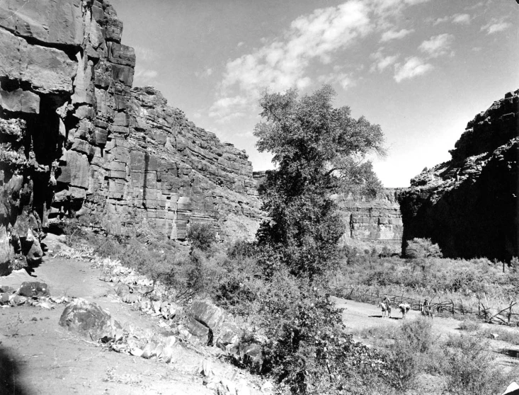 a rock structure with a tree in the foreground