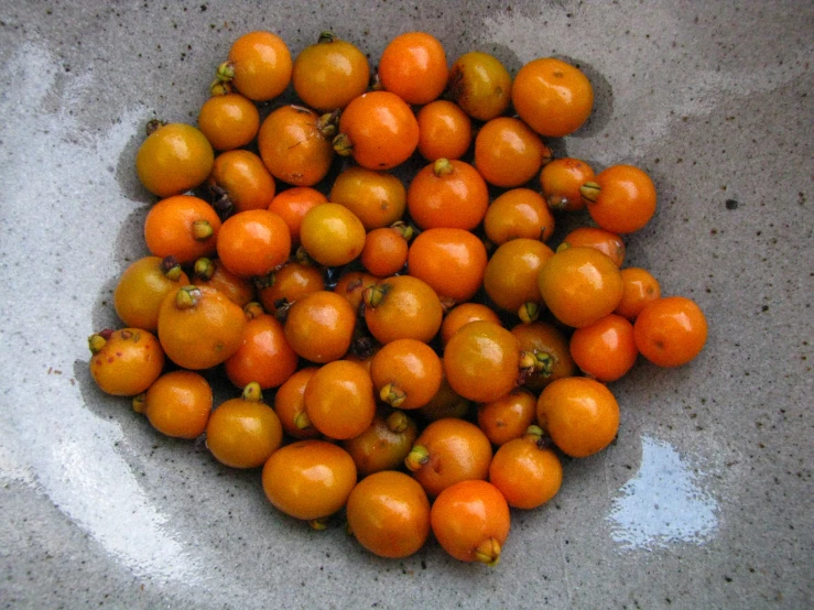 a close up of some kind of orange