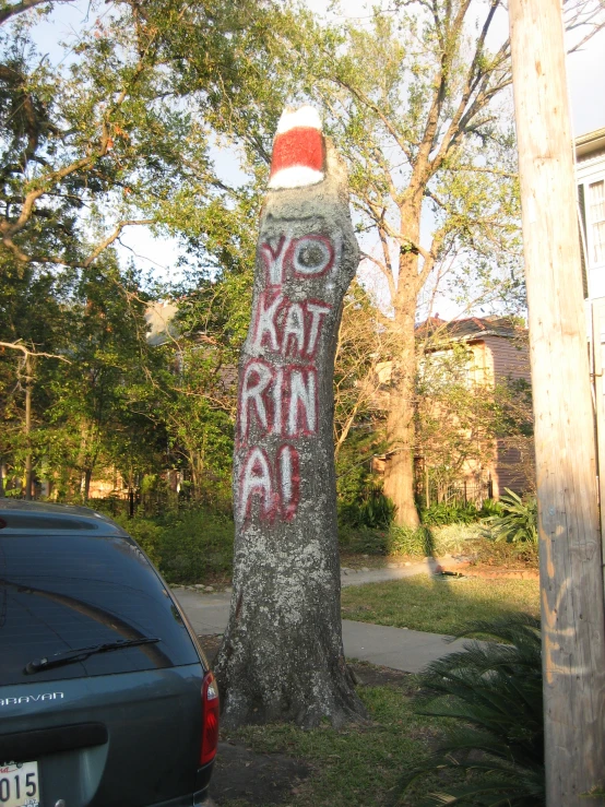 graffiti is painted on the tree bark in a neighborhood