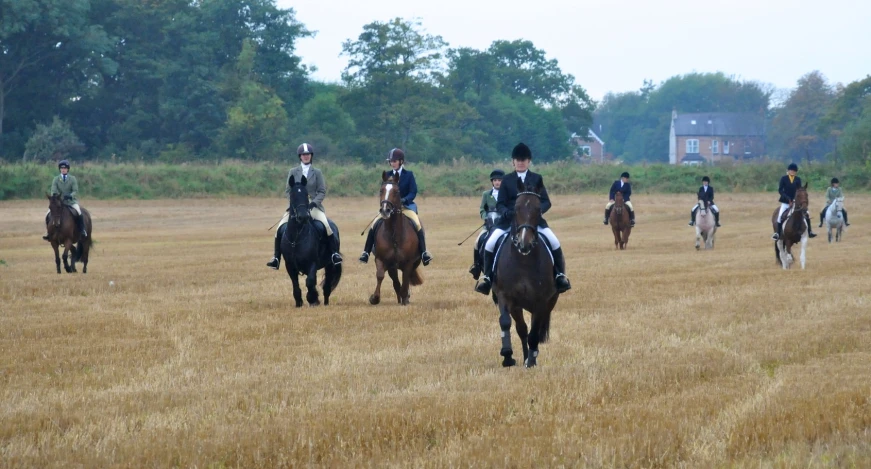 several people dressed in historical period clothing riding horses