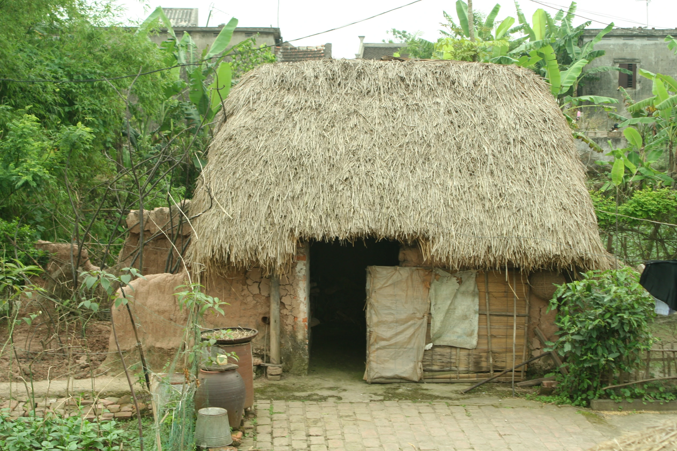 thatch roof hut in a field with pots