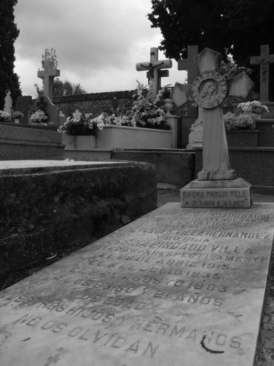 several grave stones near some trees and plants