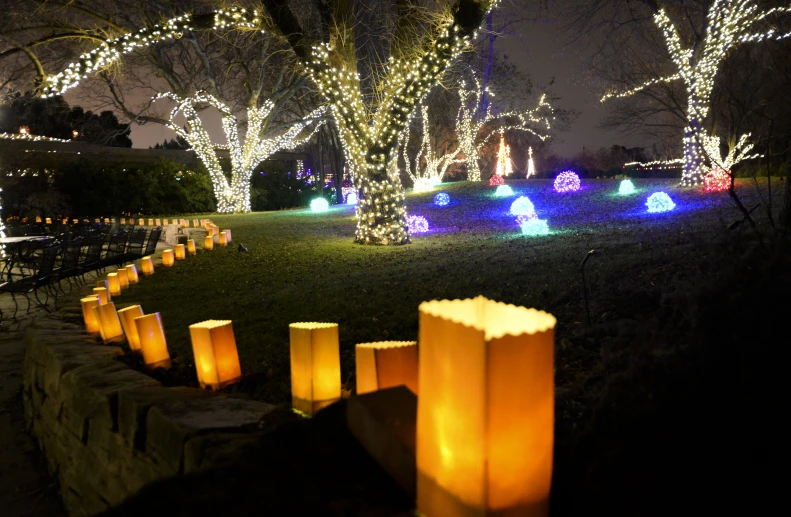 illuminated lights in a garden on a dark night