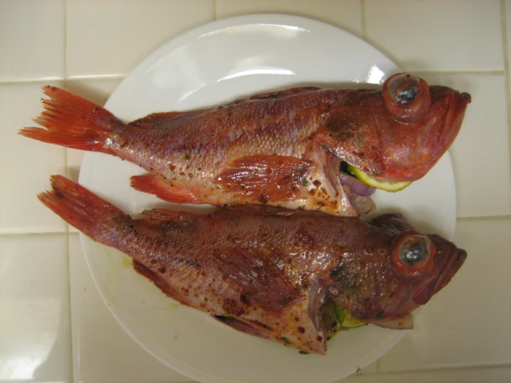 two fish sitting on top of a plate next to each other