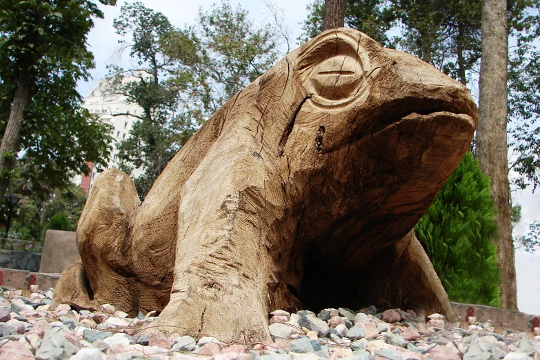 a statue of a turtle that is sitting on a rock