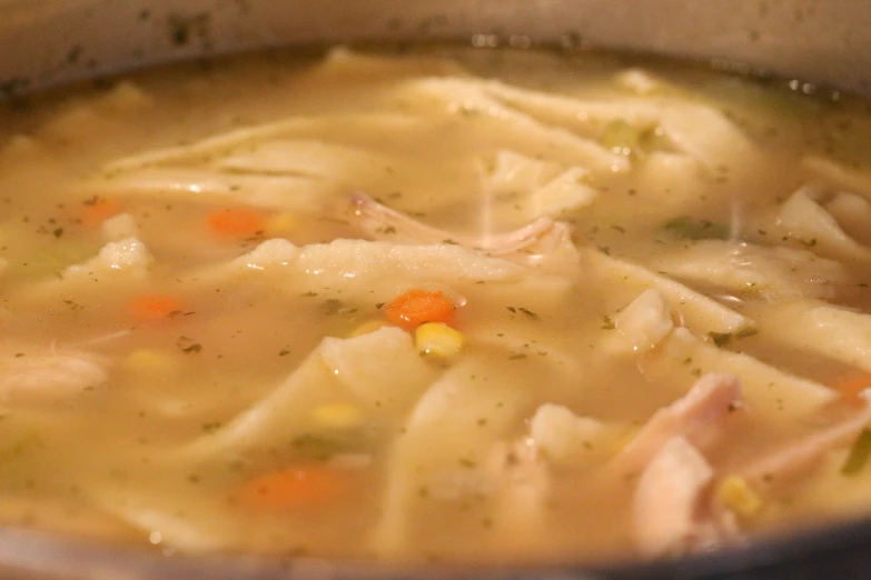 a pot of soup has meat and noodles inside