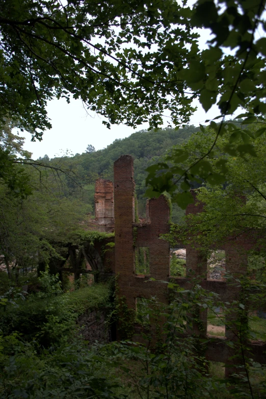 an old ruins is in the forest near mountains