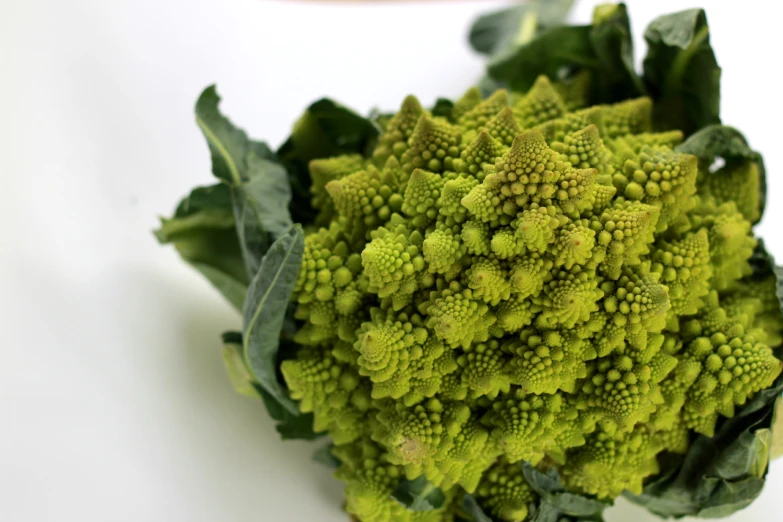 a bunch of green broccoli on a white surface