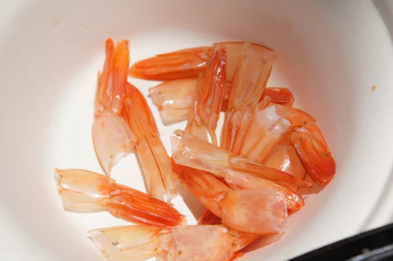 some kind of shrimp that is sitting in the water